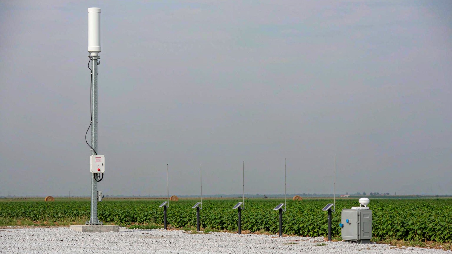 lora gateway antenna field deployment with sensor nodes.jpg